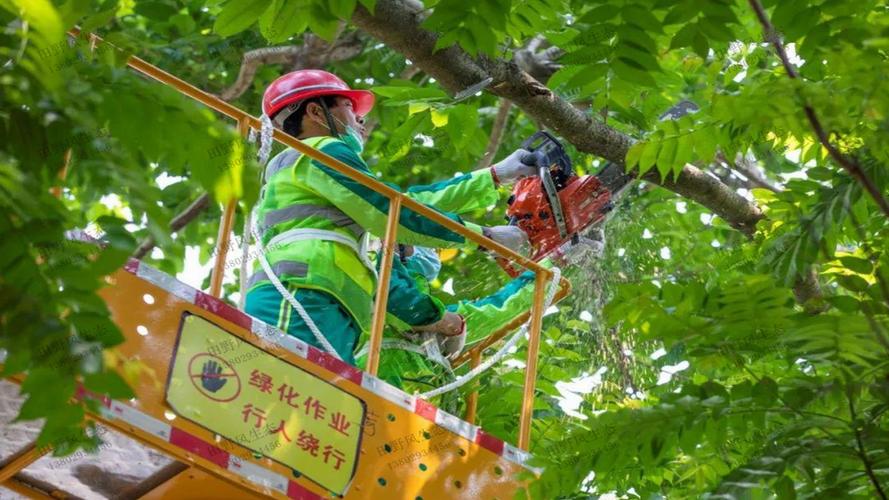 铺路后多久布置绿化工程