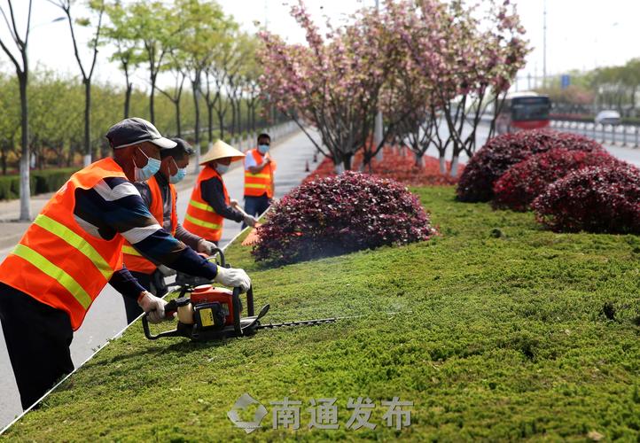 城市园林遇挑战：如何应对恶劣天气影响？