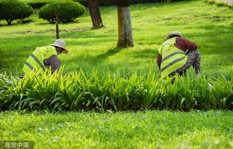 室内景观绿化工程造价标准