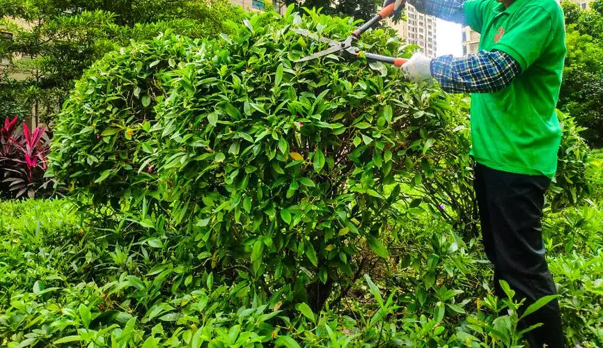 各类现代农业园林景观设计