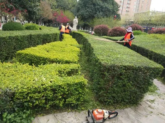 医院绿化工程设计方案范本